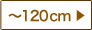 ～120㎝